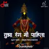 About Tujha Ranga Mi Pahila Song